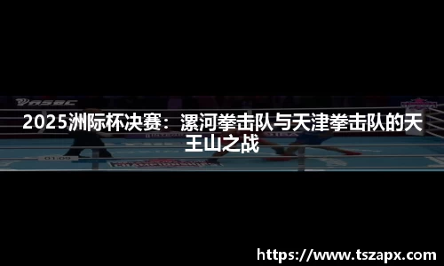 2025洲际杯决赛：漯河拳击队与天津拳击队的天王山之战